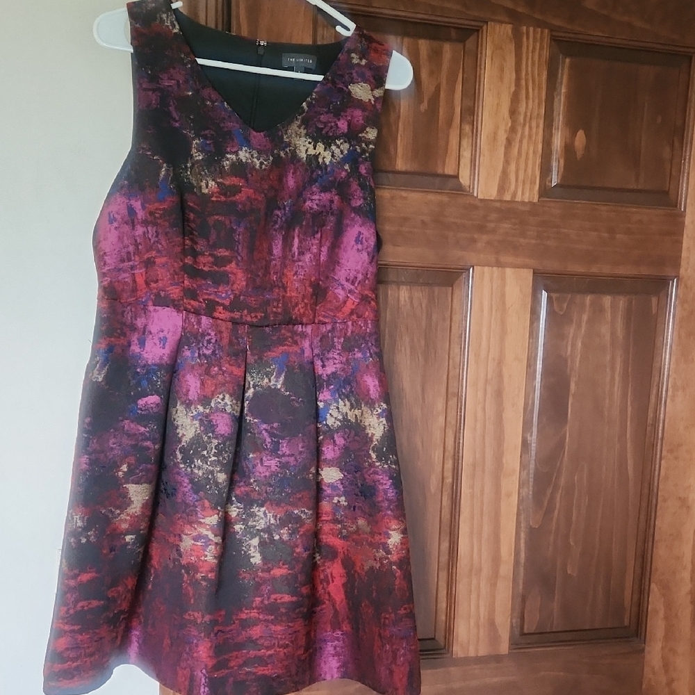 The Limited Black and Red Tone Dress